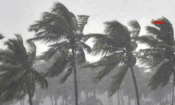 Weather Update | কবে ঢুকছে বর্ষা? দেখুন বড় আপডেট