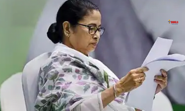 বাজেট নিয়ে কী বললেন মমতা?