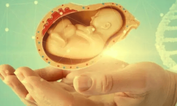 রাজ্যে প্রথম সম্পূর্ণ নিখরচায় SSKM-এ জন্ম হল ‘টেস্টটিউব বেবি’র