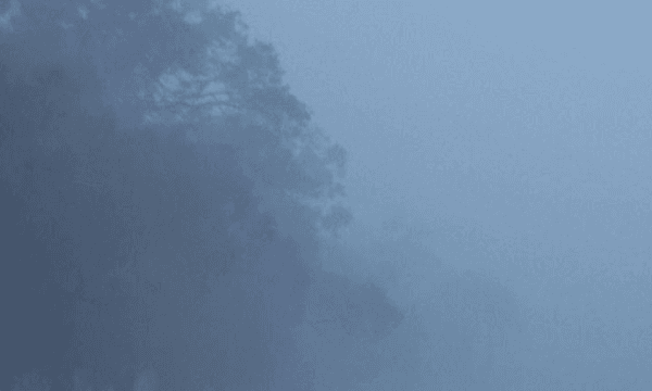 Cold Wave | শৈত্যপ্রবাহের সতর্কতা, কোন জেলায় কবে শৈত্যপ্রবাহ?