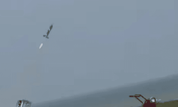 S 400-এর পর ‘ভার্গবাস্ত্র’, ভারতের ভয়ে কাঁপছে কারা?