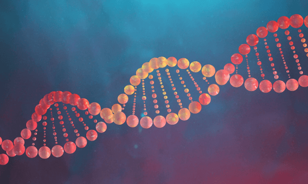 ৩ ব্যক্তির DNS সমন্বয়ে জন্ম নিল ৮ সুস্থ শিশু, পড়ুন বিস্ময়কর ঘটনা