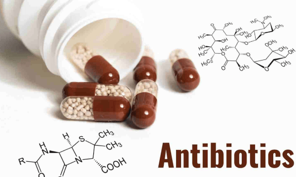 antibiotics